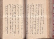 日本童話集 中 16 小川未明　日本児童文庫　赤い蝋燭と人魚、月夜の眼鏡、千代紙の春 など21編　ARSアルス　昭和2年　初版 13×19　246P　_画像7