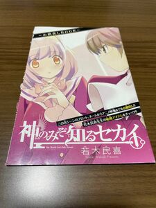 神のみぞ知るセカイ　お蔵出しBOOK サンデー付録　非売品