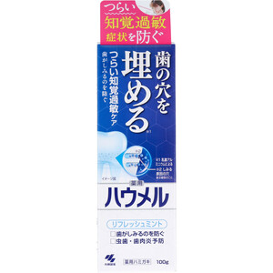 まとめ得 薬用ハミガキ ハウメル フレッシュミント 100g x [3個] /k