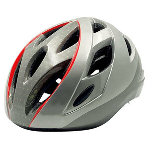  summarize profit ASG cycle helmet gray 22443703 x [2 piece ] /l