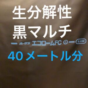 生分解性黒マルチ 幅95cm 40メートル分 農業用