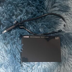 【美品】I-o data 外付けHDS 500gb