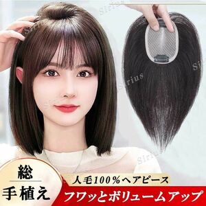 人毛100％ヘアピース 部分ウィッグ 総手植え 分け目自由 超軽量 白髪隠し