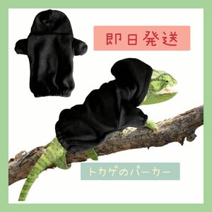 トカゲのパーカー　パーカー　トカゲの洋服　爬虫類の服　爬虫類小物　カメレオン　フトアゴヒゲトカゲ　ペット　ペット用品　ペット服