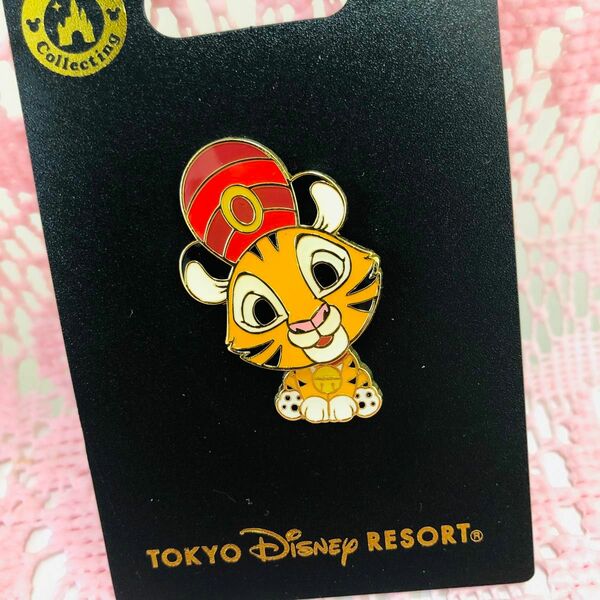 チャンドゥ ゆらゆらピンバッジ　 TDR TDL