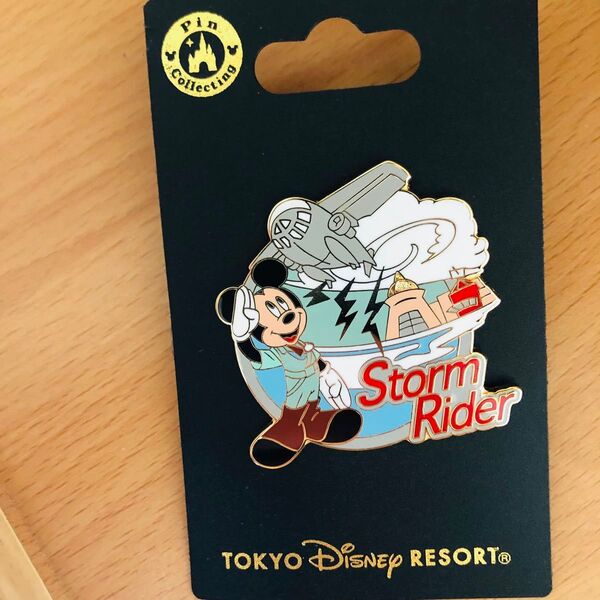 ストームライダー ピンバッジ TDL TDS TDR