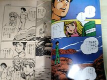 火の鳥2772 愛のコスモゾーン 月刊マンガ少年 別冊 原作:手塚治虫 作画:御厨さと美 1980 朝日ソノラマ/漫画/マンガ/昭和レトロ/B3227520_画像3