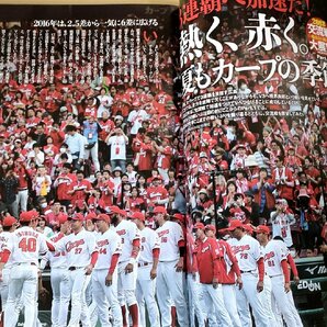 週刊ベースボール 2018.6 No.26 岡田明丈/新井貴浩/鈴木誠也/大瀬良大地/中村祐太/アドゥワ誠/會澤翼/野間峻祥/プロ野球/雑誌/B3227558の画像3