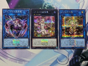 遊戯王　アティプスの蟲惑魔　:　シトリスの蟲惑魔　:　セラの蟲惑魔/TDS2版ロゴ入りシークレット