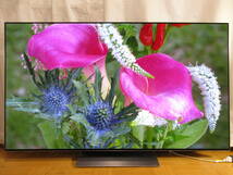 LG　エルジー　OLED55G2PJA [55インチ]　展示品1年保証（即決で5年保証）新パネルOLED evo Gallery Editionを採用した4K有機ELテレビRV_画像3