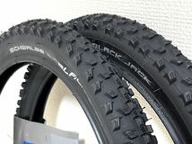 【送料無料特価】Schwalbe Black Jack 16×1.90 2本セット 《16インチ/ETRTO305》_画像1