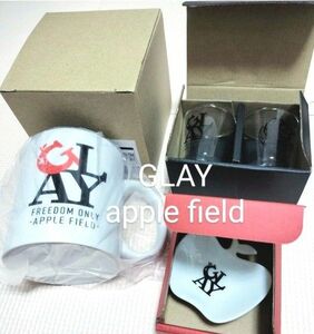 ※説明必読!GLAY.applefieldグッズ.マグカップ.グラス.トレイセットTERU.TAKURO.HISASHI.JIRO