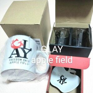 ※説明必読!GLAY.applefieldグッズ.マグカップ.グラス.トレイセットTERU.TAKURO.HISASHI.JIRO