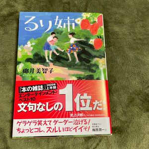 るり姉 （双葉文庫　や－２２－０２） 椰月美智子／著