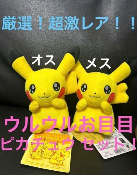 【激レア】マイピカチュウ My PIKACHU ぬいぐるみ オス メス