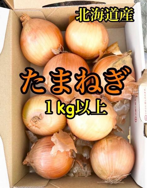 玉ねぎ　北海道産 Ｍサイズ　約1キロ 正規品