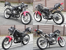 ヤマハ TZR50R 実動　 RZ50 NS-1 NSR50_画像9