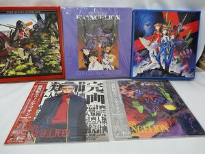 ☆中古品☆新世紀 エヴァンゲリオン NEON GENESIS EVANGELION ケース LD2枚 動作未確認 現状品