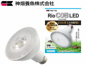 カミハタ RioCOB LED クールホワイト リオコブLED　淡水・水草用スポット照明　管理60