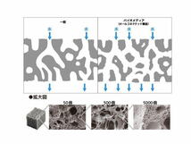 【レターパック発送】オルカ ネクストジェネレーション バイオメディア ライト PH上昇抑制　管理LP3_画像3