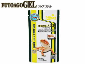 【レターパック発送】キョーリン フトアゴゲル 60g　爬虫類フード 雑食性トカゲ 総合栄養食　管理LP5