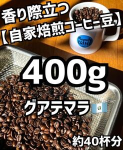 【匿名配送】自家焙煎コーヒー豆　【大容量】グアテマラ（ガテマラ）珈琲豆　400g 約40杯分　(豆or粉)