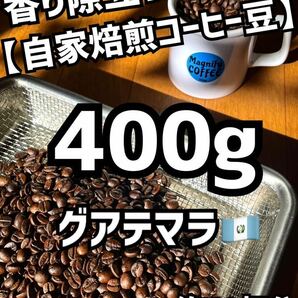 【匿名配送】自家焙煎コーヒー豆　【大容量】グアテマラ（ガテマラ）珈琲豆　400g 約40杯分　(豆or粉)