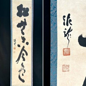 【真作】井沢寛洲「松無古今色」掛軸 紙本 書 臨済宗 中原南天棒に師事 円福寺 道場師家 兵庫の人 e021610