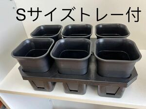 多肉植物 ハオルチア アガベ 専用プラ鉢 高品質 方丸型トレー付 Sサイズ 3セット