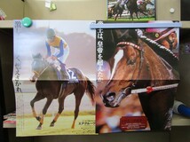 л8687　競馬ガイド本他6冊 オグリキャップ オルフェーヴル トウカイテイオー ナリタブライアン JRA 別冊欠品_画像3