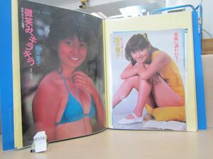 л8556　新井薫子 遠野友理 青葉久美 他 切り抜き 大量 個人収集ファイル1冊 80年代アイドル グラビア 水着 昭和