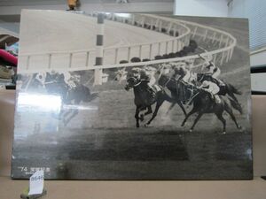 п8646　非売品？1974年宝塚記念 日刊スポーツ 社判入 中央競馬 JRA 写真パネル パネル展？約52㎝×約37cm