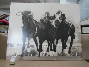 Ь8650　非売品？ 競馬写真パネル 新聞社パネル展？JRA 名馬 レース・馬名不明 約53㎝×約42cm