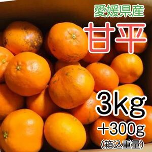6甘平 3kg+補償分300g 1799円 愛媛県産 訳あり家庭用 柑橘