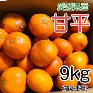 2甘平 9kg 4199円 愛媛県産 訳あり家庭用 柑橘