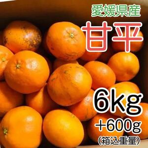 2甘平 6kg+補償分600g 2699円 愛媛県産 訳あり家庭用 柑橘