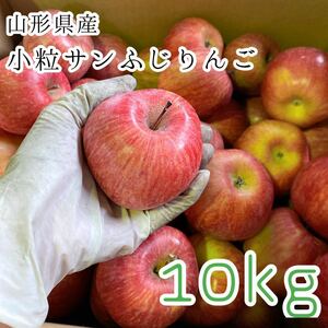 1小粒サンふじりんご 3580円 10kg 山形県産 訳あり家庭用