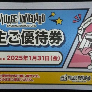 即日発送☆ヴィレッジヴァンガード株主優待券12000円分(1000円券×12枚) village vanguard ヴィレヴァン 金券 割引券 クーポン券 最新 即決の画像1