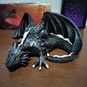 ドラゴン2点セット(加湿器は含まれません)