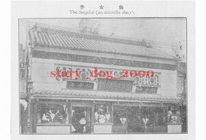 . made reissue picture postcard / old photograph Tokyo south . horse block Sakamoto shop . woman .. umbrella Meiji 40 year TS_342