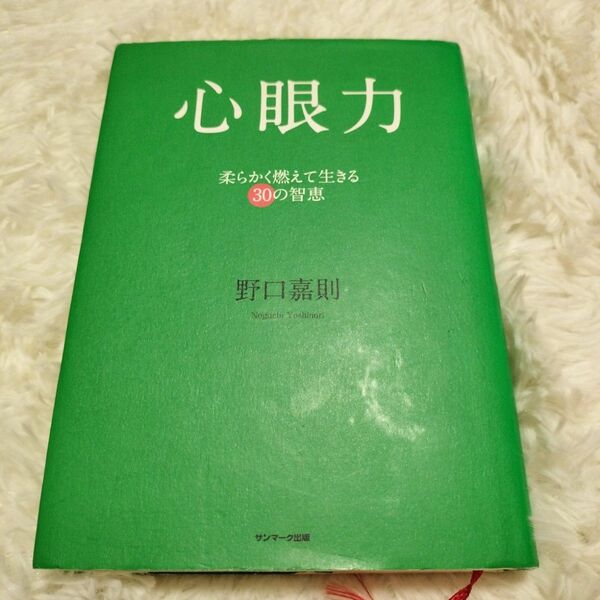 心眼力 柔らかく燃えて生きる30の智恵/野口嘉則