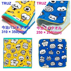 【新品】TRUZ 今治タオル&今治ミニタオル 2枚セット TREASURE