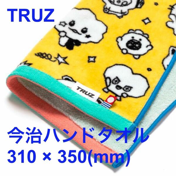 【新品】TRUZ 今治タオル ミニタオル ハンドタオルTREASURE