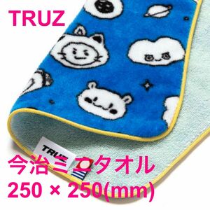 【新品】TRUZ 今治タオル ミニタオル ハンドタオル TREASURE 青色　ブルー　