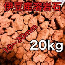 伊豆産 赤色溶岩石 レッドロック スコリア 10〜30mm 20kg_画像1