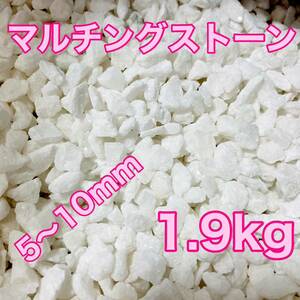 マルチングストーン 白 1.9kg 化粧砂 多肉植物