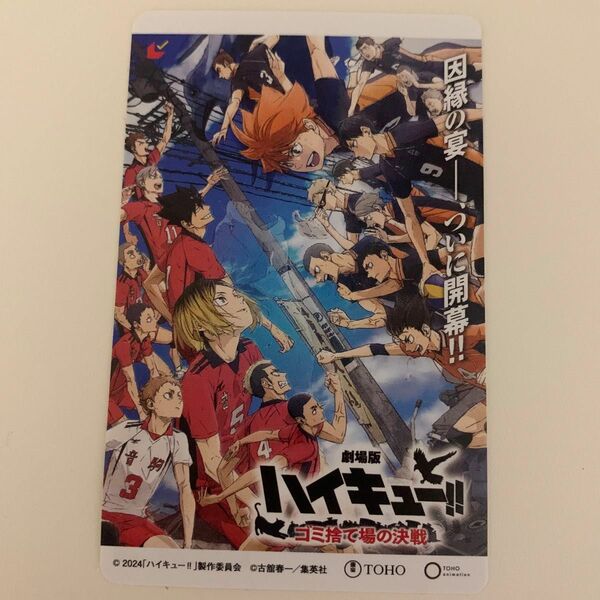 ハイキュー ゴミ捨て場の決戦 ムビチケ 使用済み 映画 前売り券 カード 排球 劇場版ハイキュー