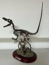 ヴェロキラプトル ラプター マスターフォッシル MASTER FOSSIL SKELTON MODEL 化石模型 骨格模型 フィギュア ジュラシックワールド_画像1