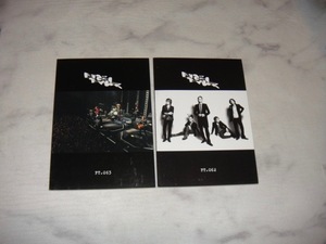 BUCK-TICK/FISH TANK/FC 会報 2冊 no.62+63 /FC/櫻井敦司/THE mortal/BUCKTICK/バクチク/グッズ