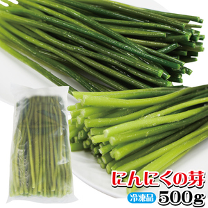 にんにくの芽500ｇ冷凍【業務用】【ニンニク】【野菜】